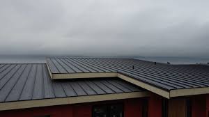 Best Rubber Roofing (EPDM, TPO)  in Orange, CA